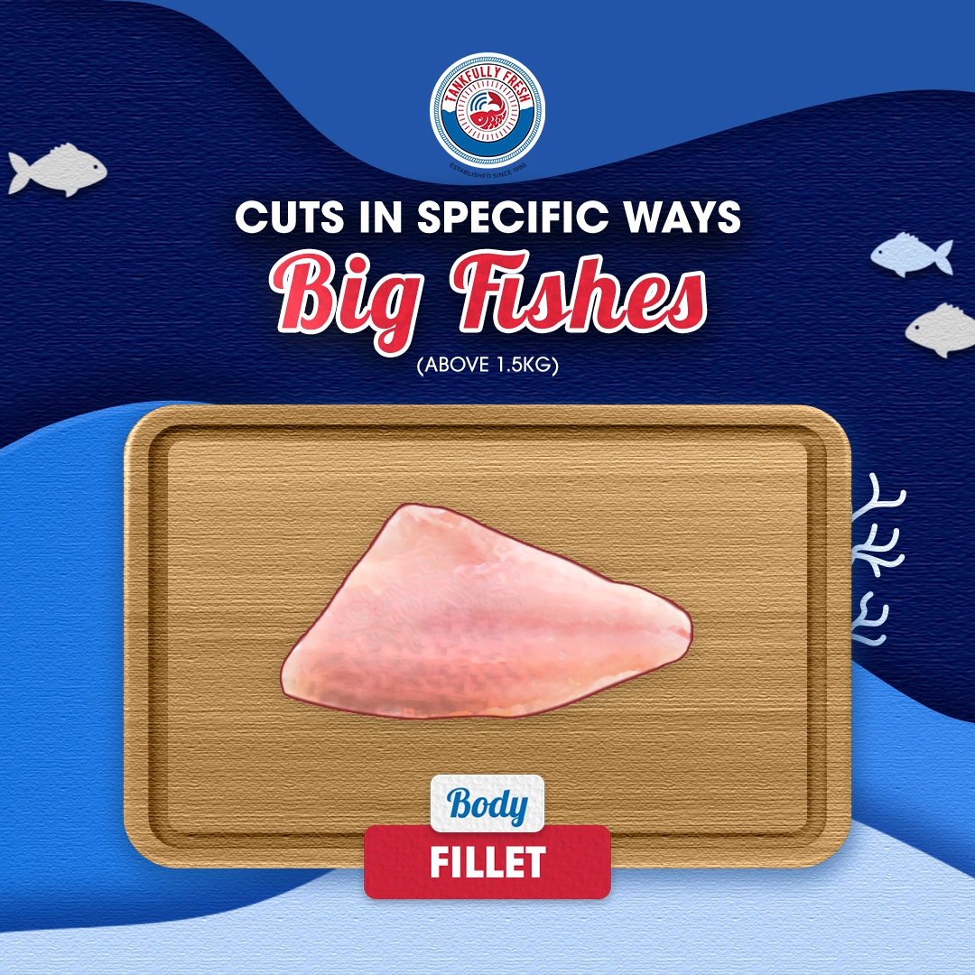 Cuts in specific ways for big fishes, body fillet